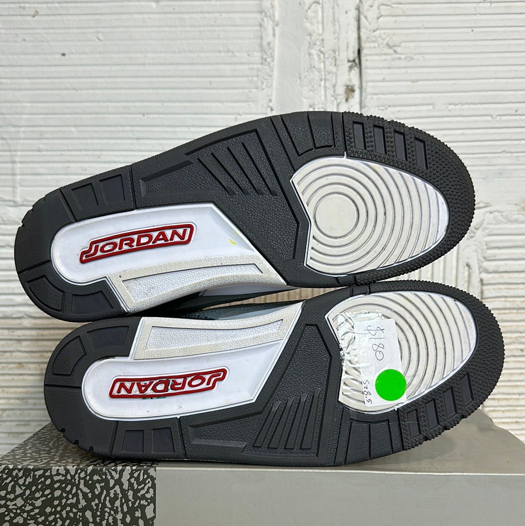 Air Jordan 3 Cool Grey (2021) Sz 8.5