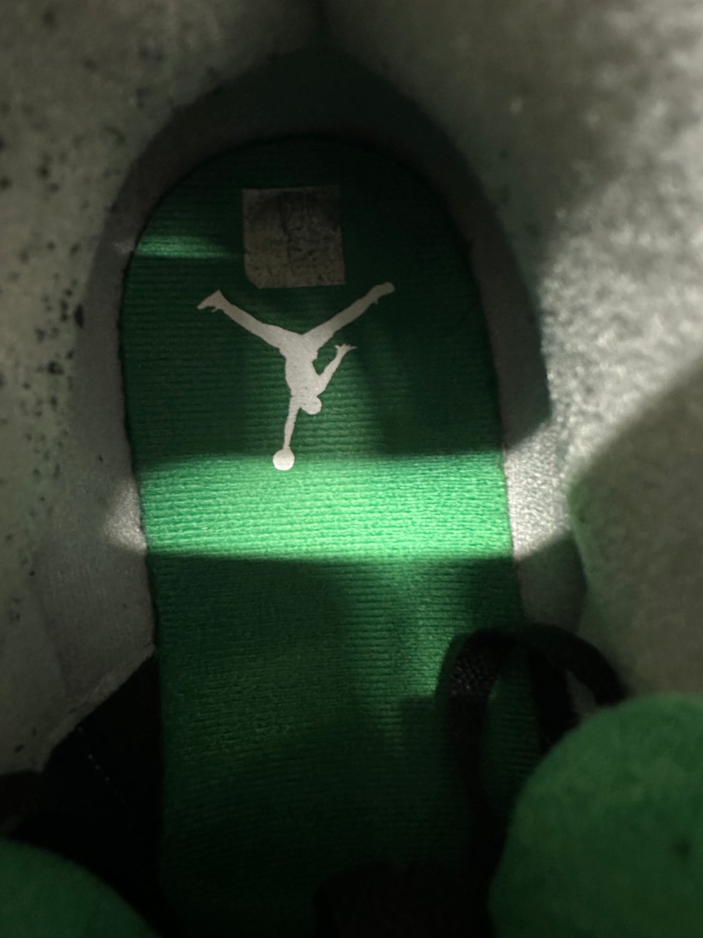 Air Jordan 3 Pine Green Sz 13