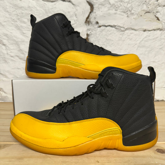 Air Jordan 12 University Gold Sz 12