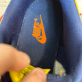 Nike Dunk Low Michigan Sz 8.5