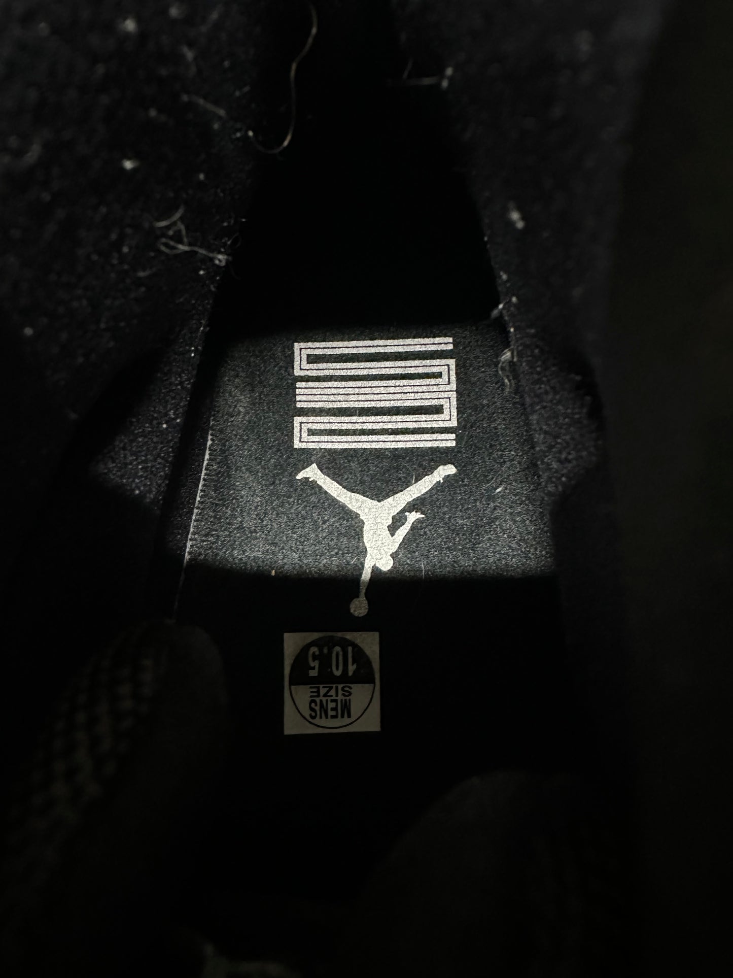 Air Jordan 11 High Jubilee Sz 10.5