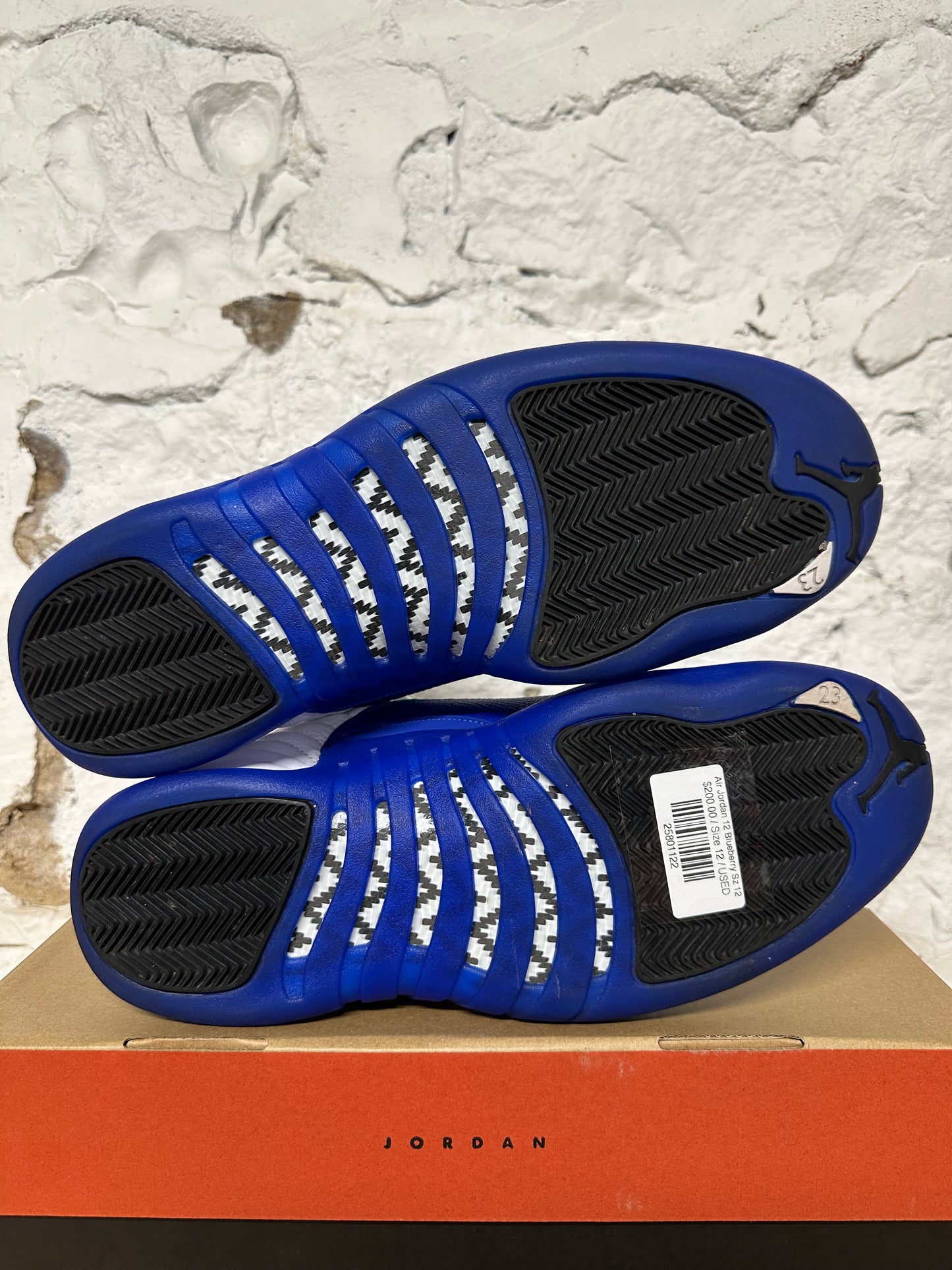 Air Jordan 12 Blueberry Sz 12