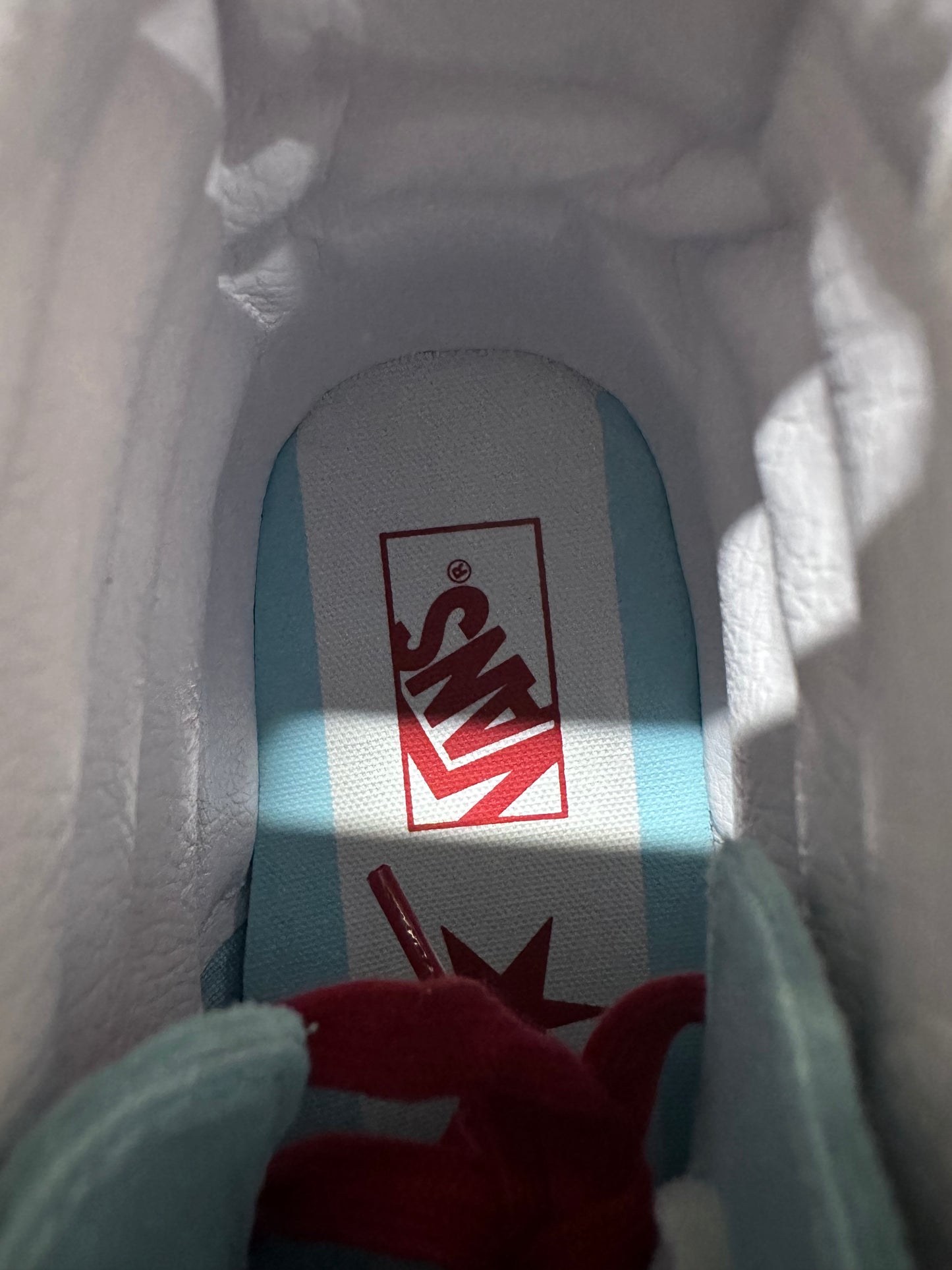 Vans Chicago Clearwater Sz 12 DS