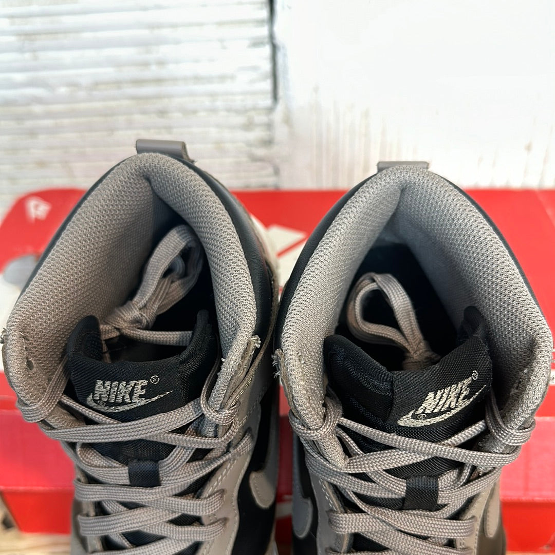 Nike Dunk High Moon Fossil Sz 6.5 (8W)