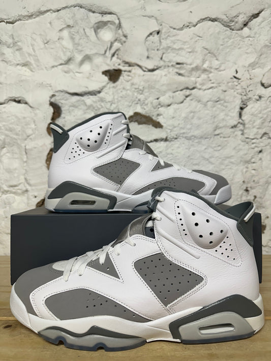 Air Jordan 6 Cool Grey Sz 10.5 DS