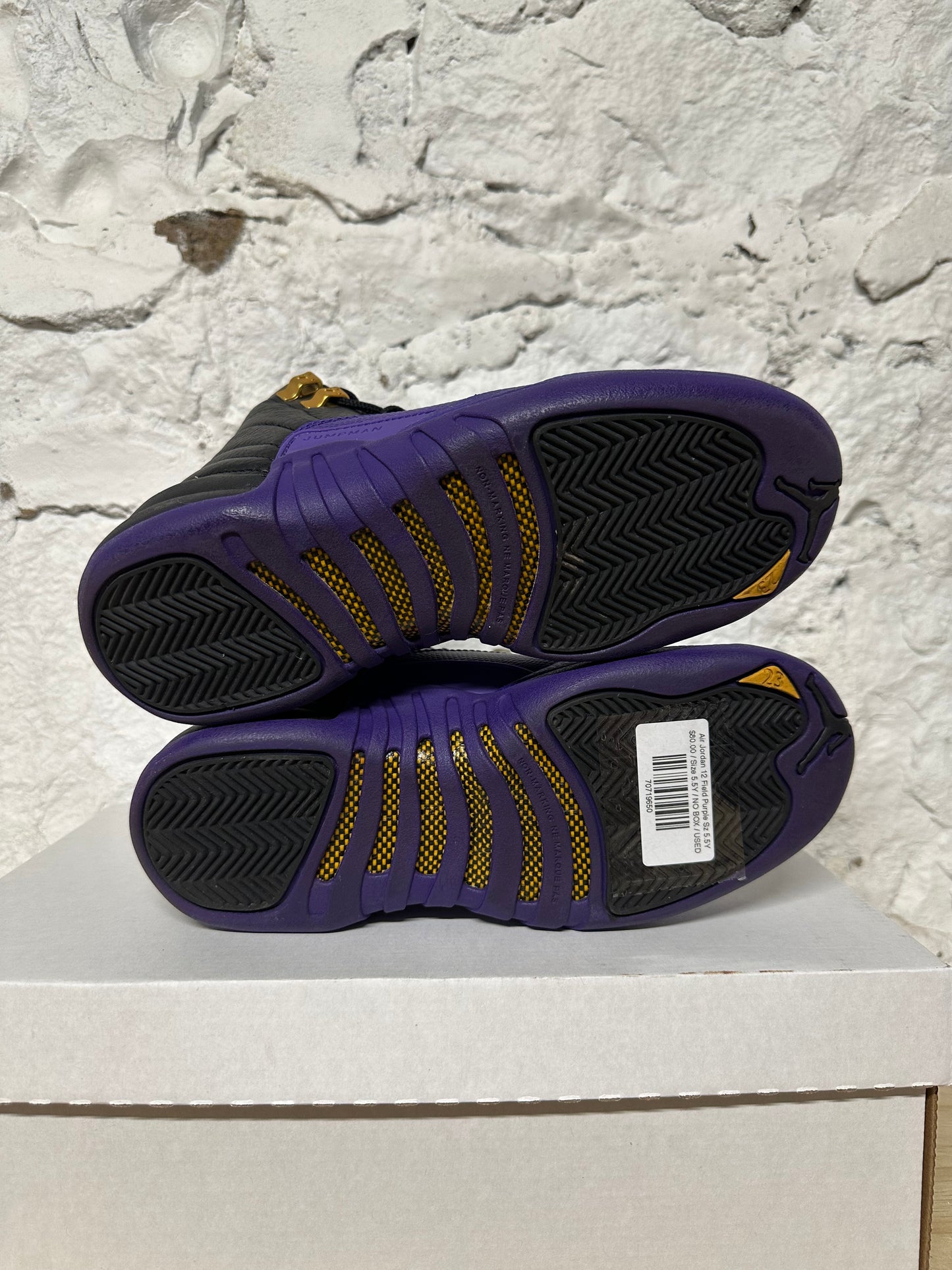 Air Jordan 12 Field Purple Sz 5.5Y