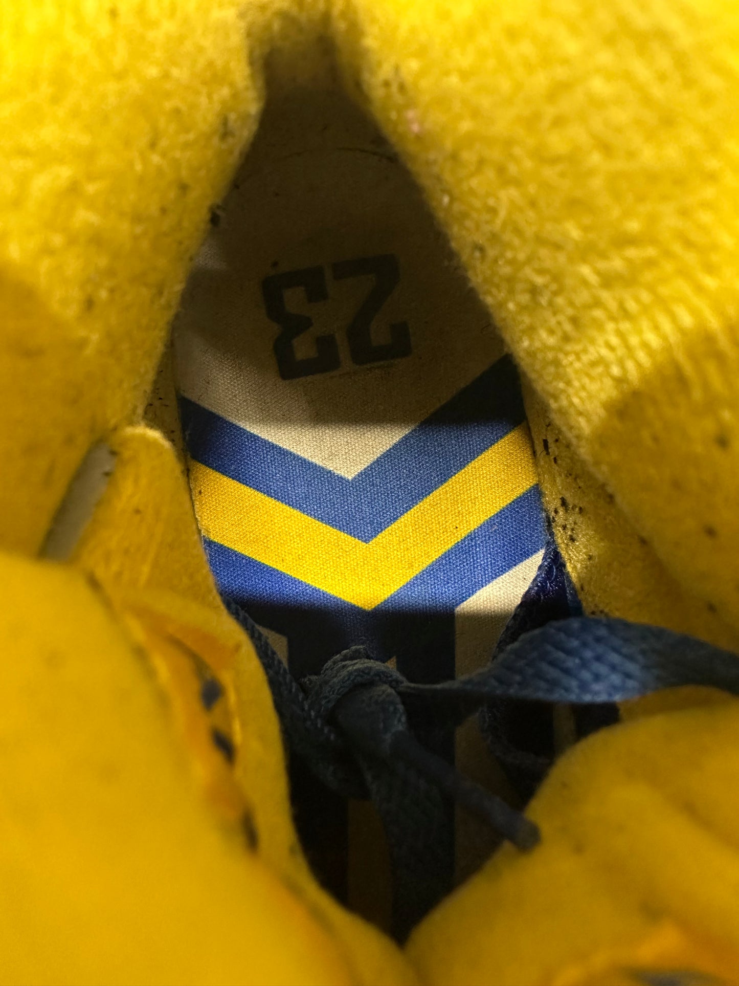 Air Jordan 5 Laney Varsity Royal Sz 9.5