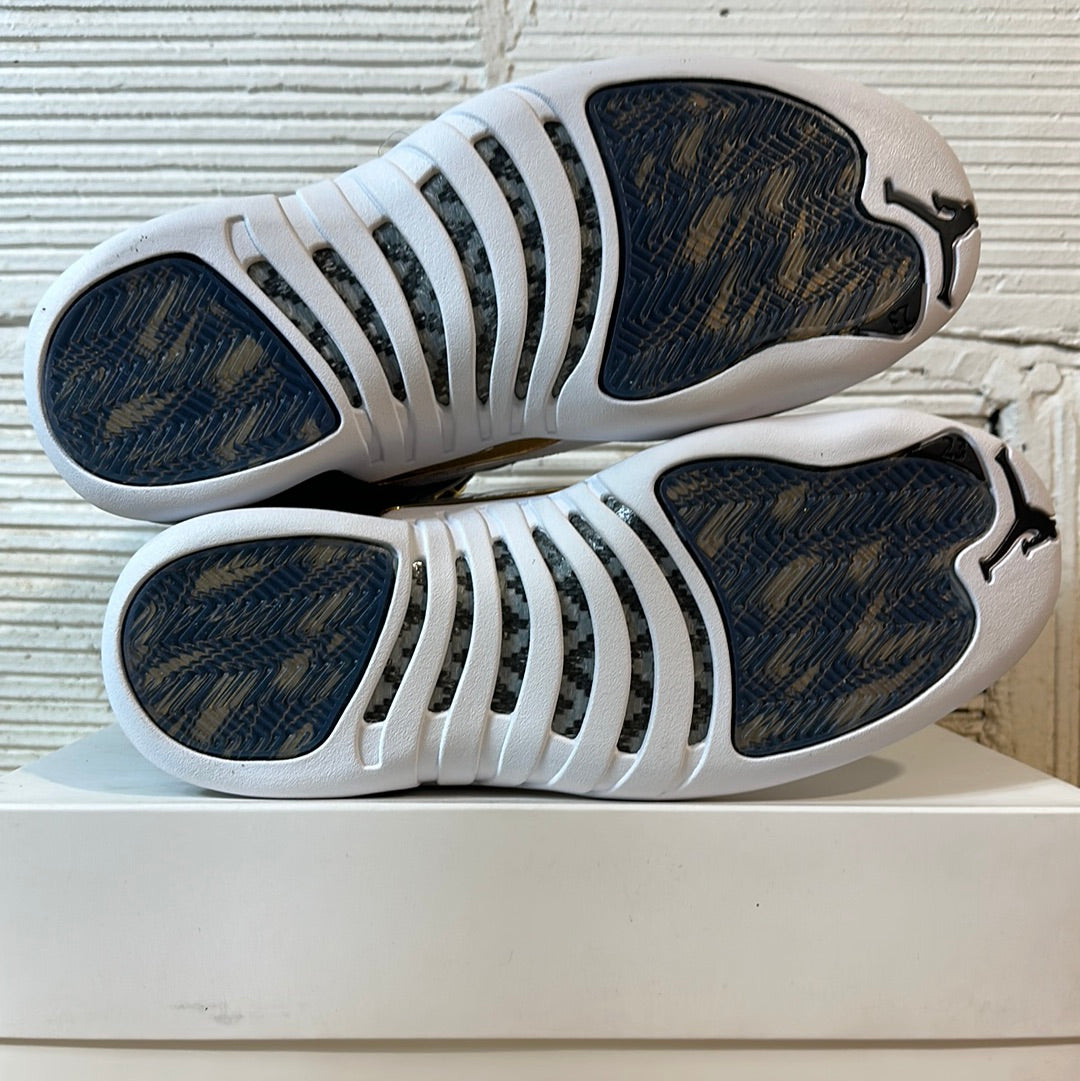 Air Jordan 12 Wings Sz 9 DS