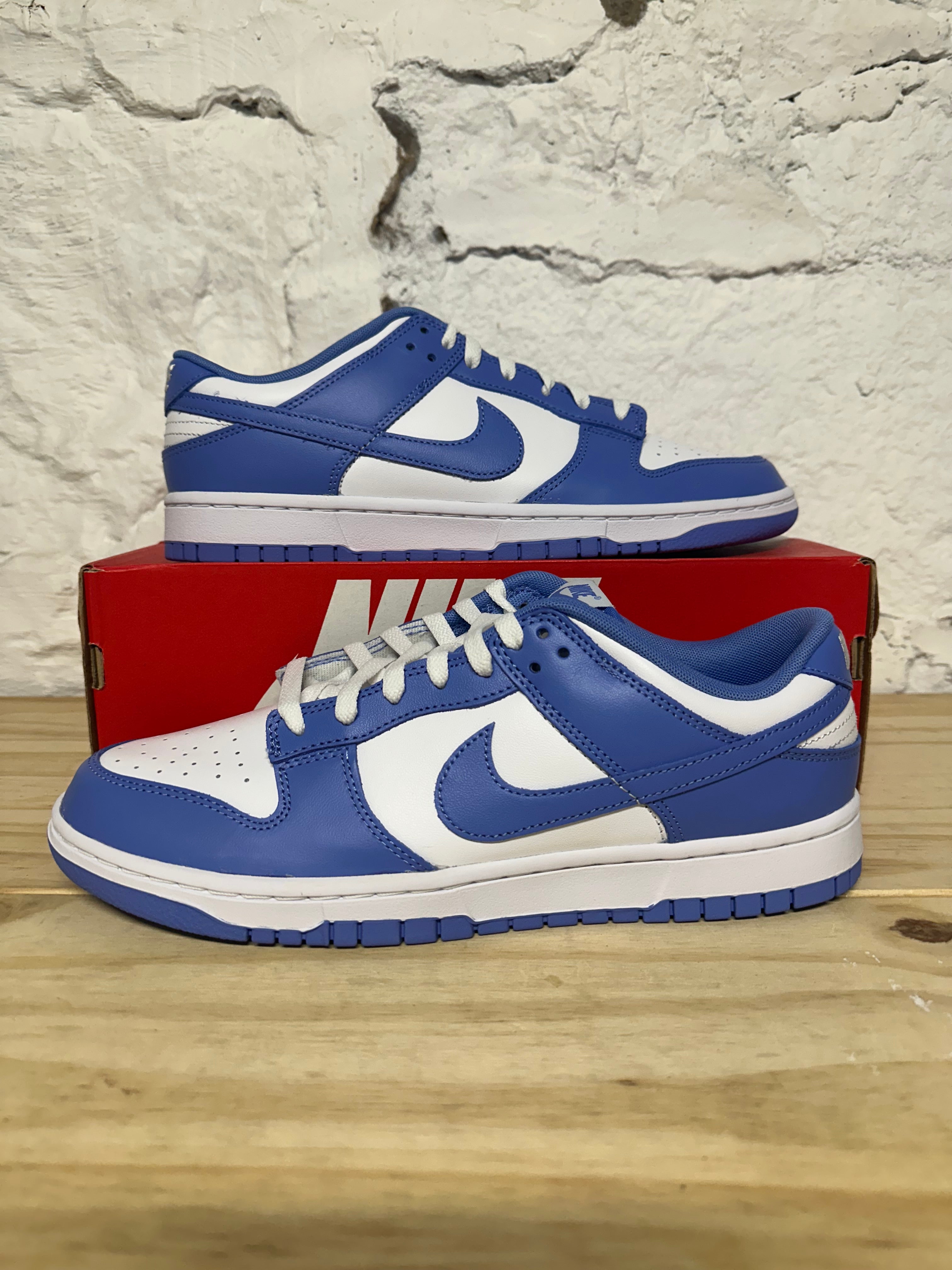 Nike Dunk Low Polar Blue Sz 11.5 DS