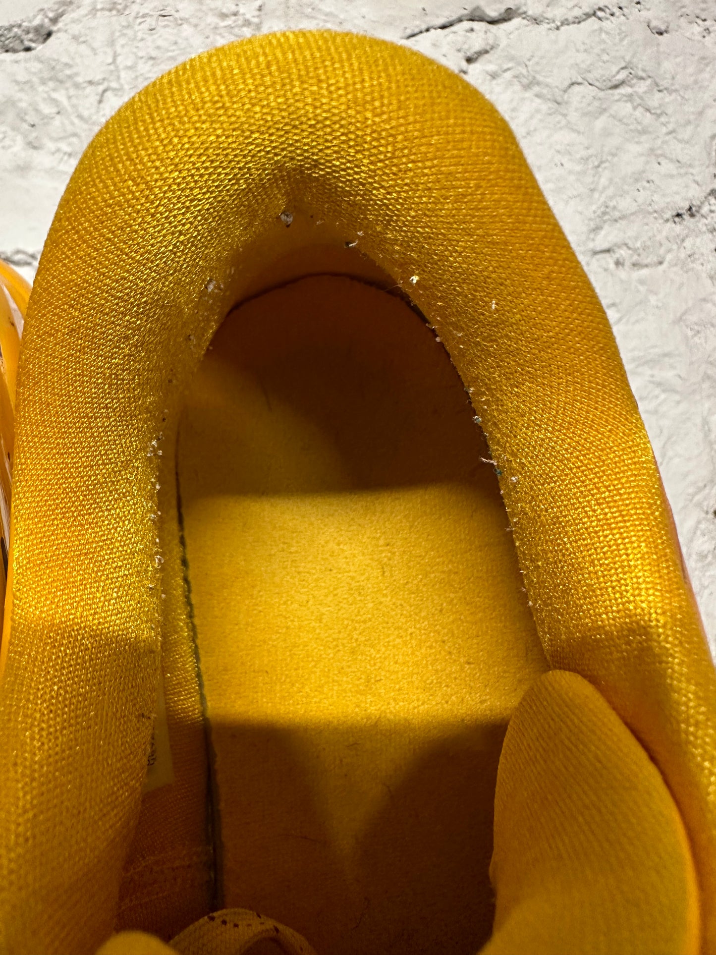 Nike Hyperdunk Low Snake Pool (2010) Sz 10.5