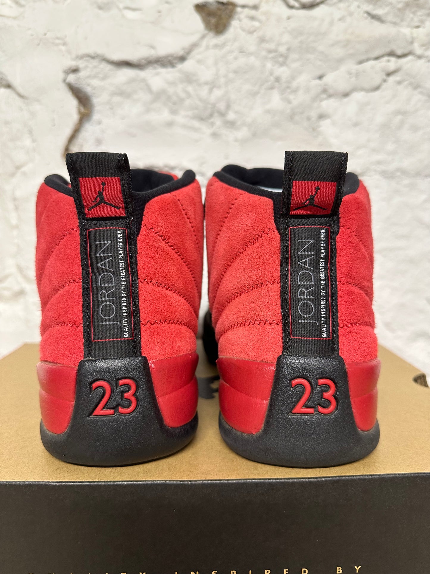 Air Jordan 12 Reverse Flu Game Sz 8