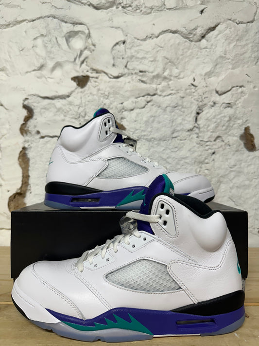 Air Jordan 5 Grape Sz 11