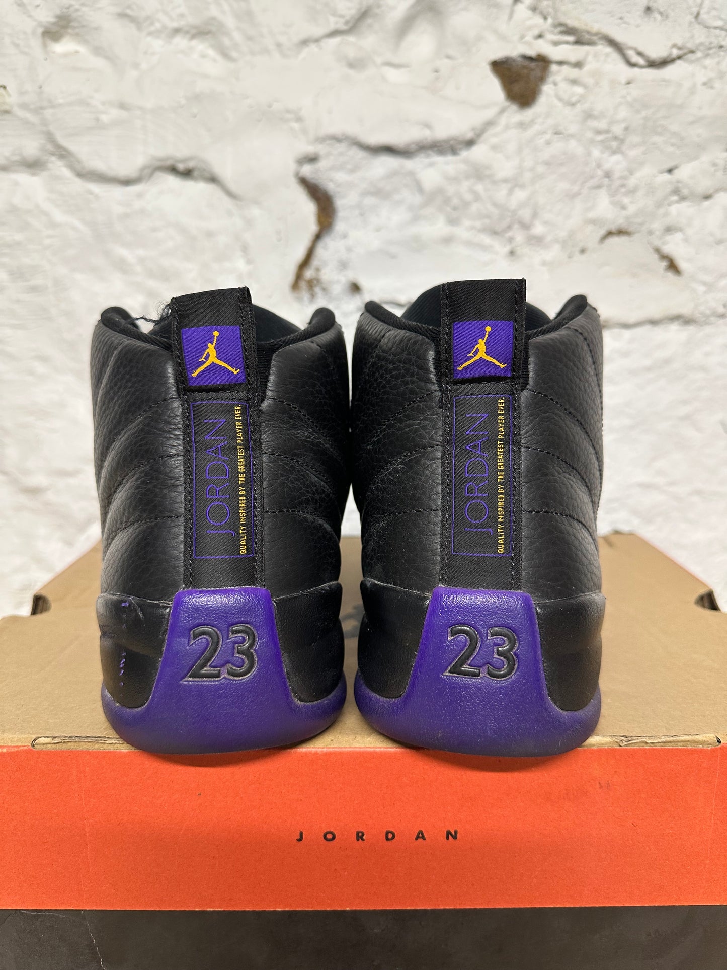 Air Jordan 12 Field Purple Sz 10.5