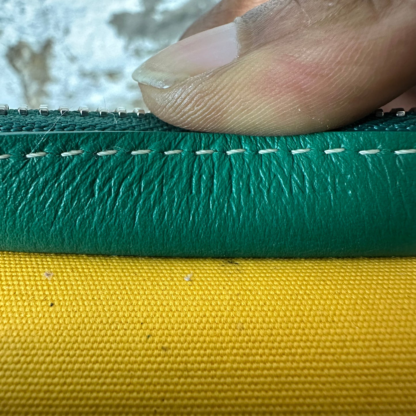 Goyard Jouvence Monogram Green Toiletry Bag