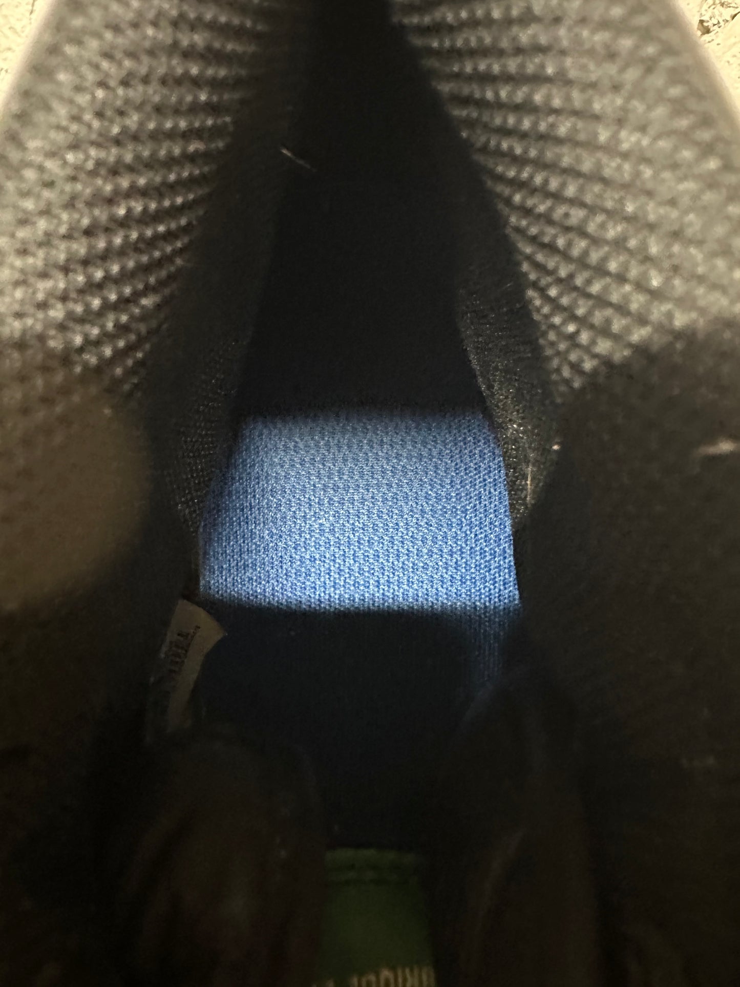 Air Jordan 1 High Pine Green Sz 14