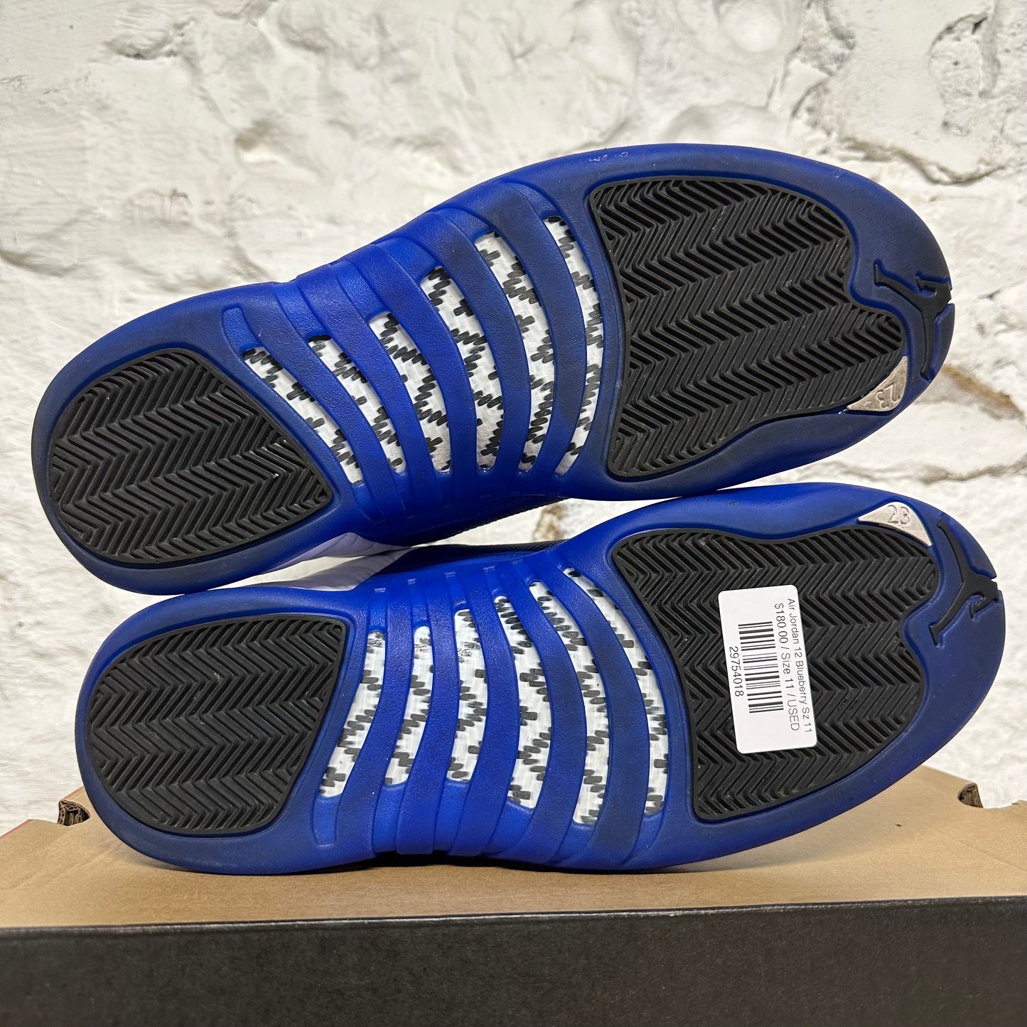 Air Jordan 12 Blueberry Sz 11