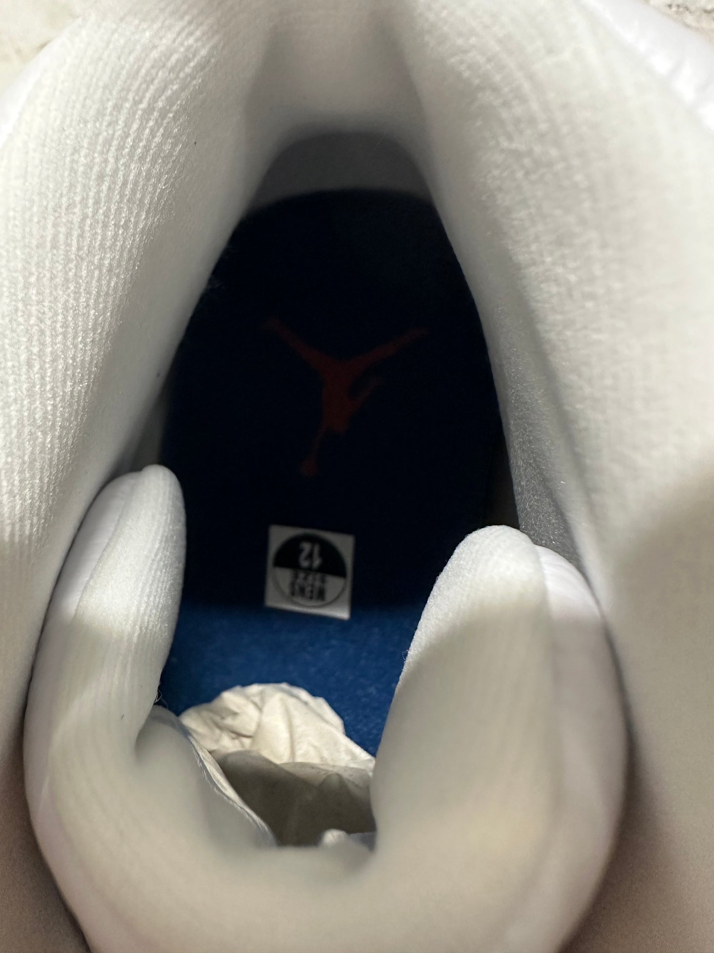 Air Jordan 12 French Blue Sz 12 DS