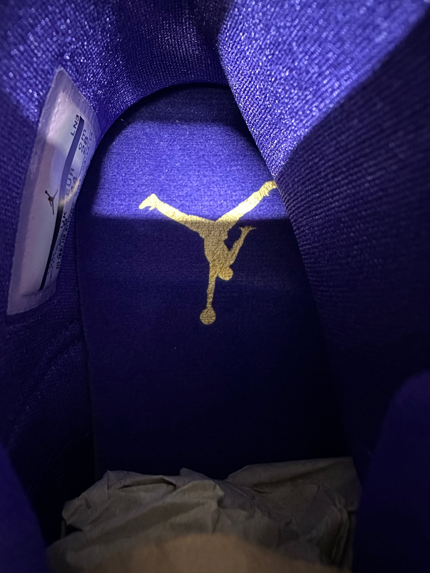 Air Jordan Future Purple Concord Sz 10 DS