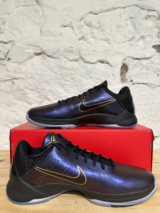 Nike Kobe 5 Protro Year Of The Mamba Eggplant Sz 12.5