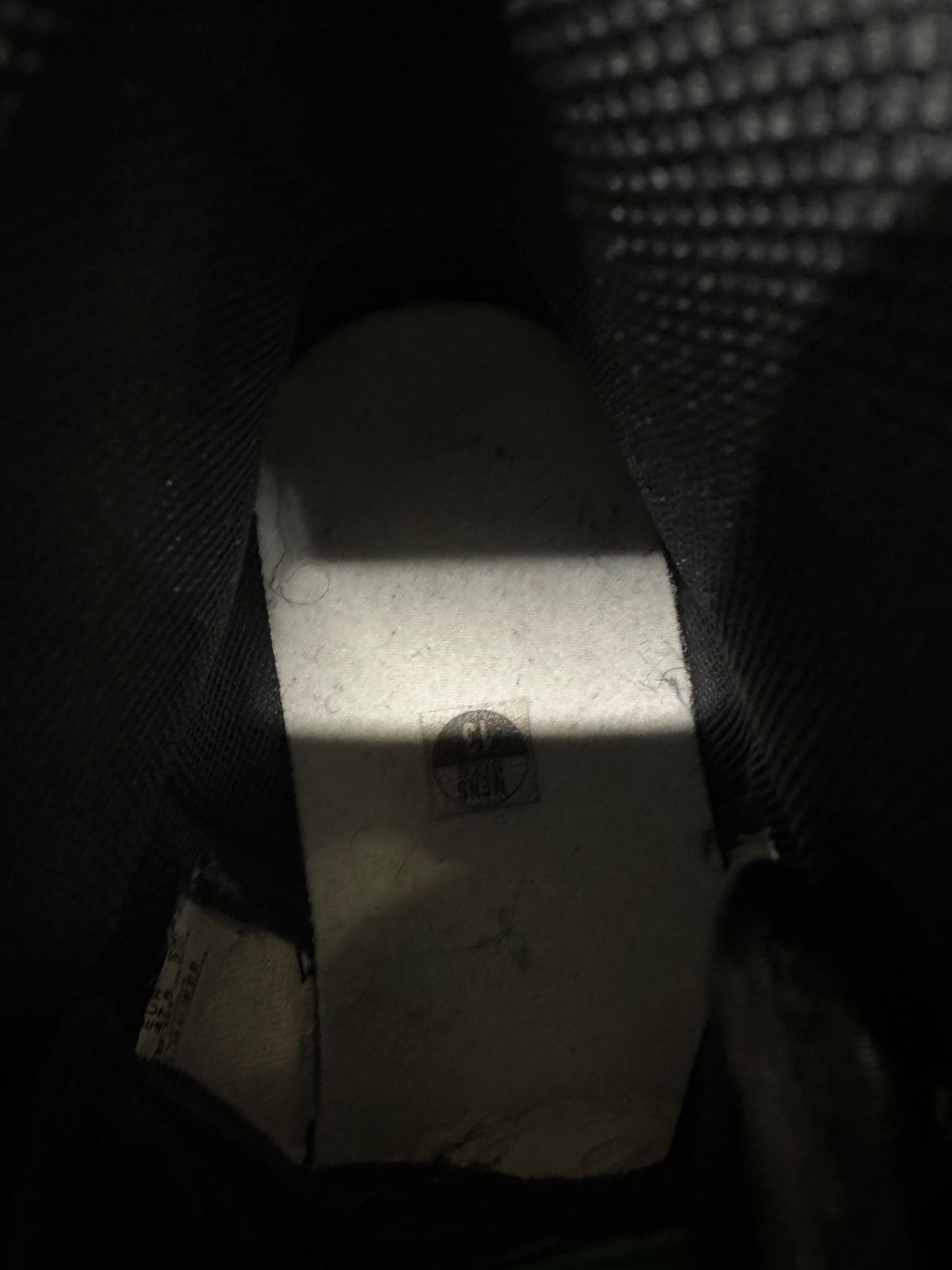 Air Jordan 1 High Pine Green Sz 13