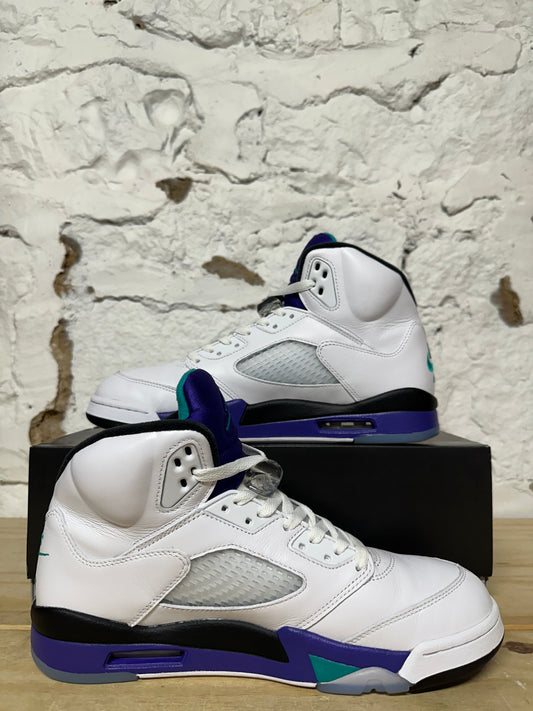 Air Jordan 5 Grape Sz 11