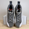 Air Jordan 12 Cool Grey Sz 9.5