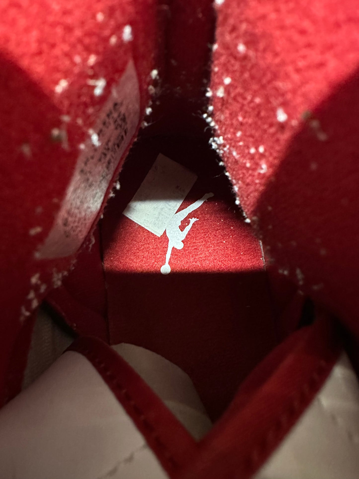 Air Jordan 1 Do the Right Thing Red Sz 10