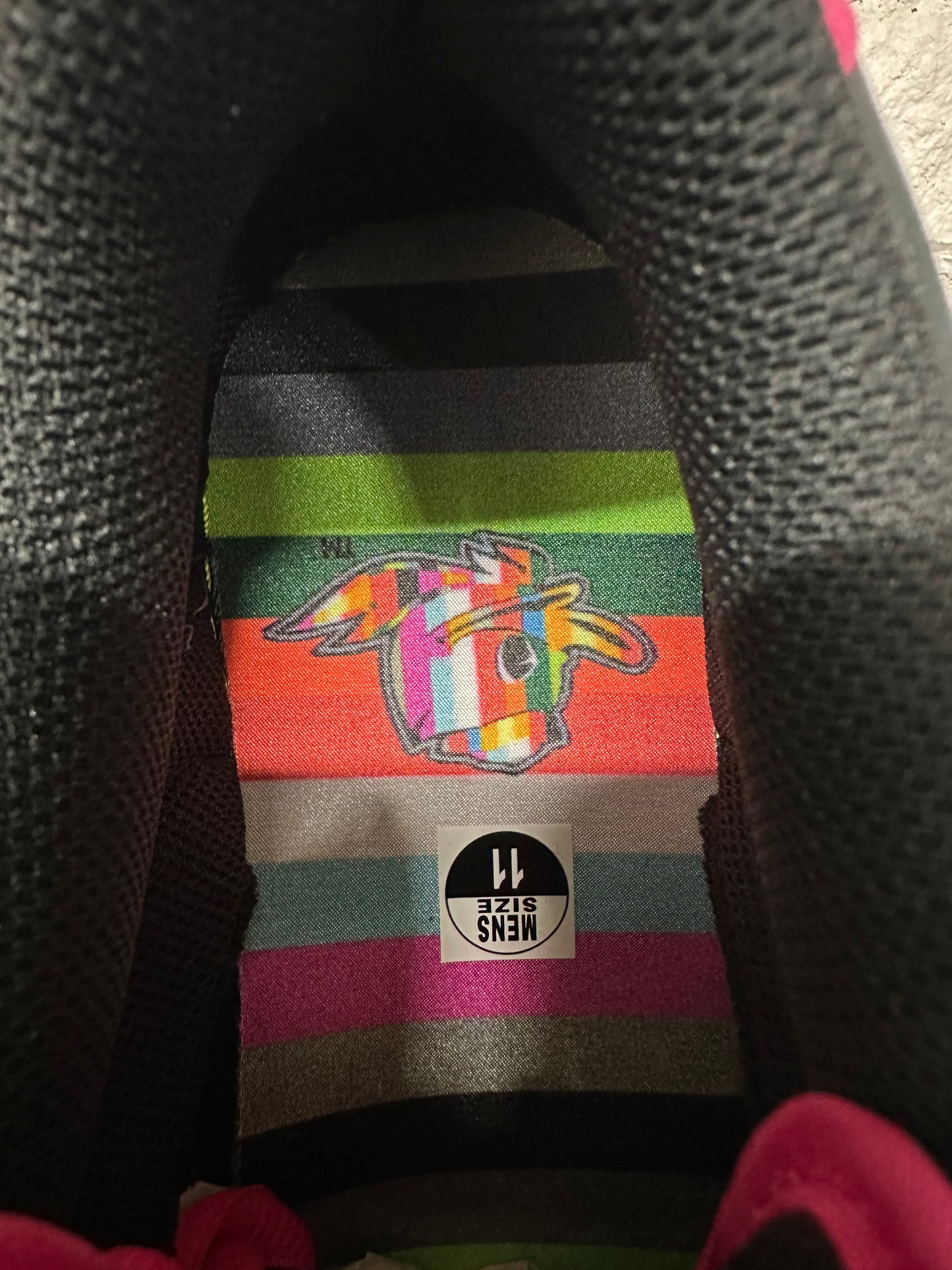 Nike Dunk Low Oregon What The Duck Home Sz 11 DS