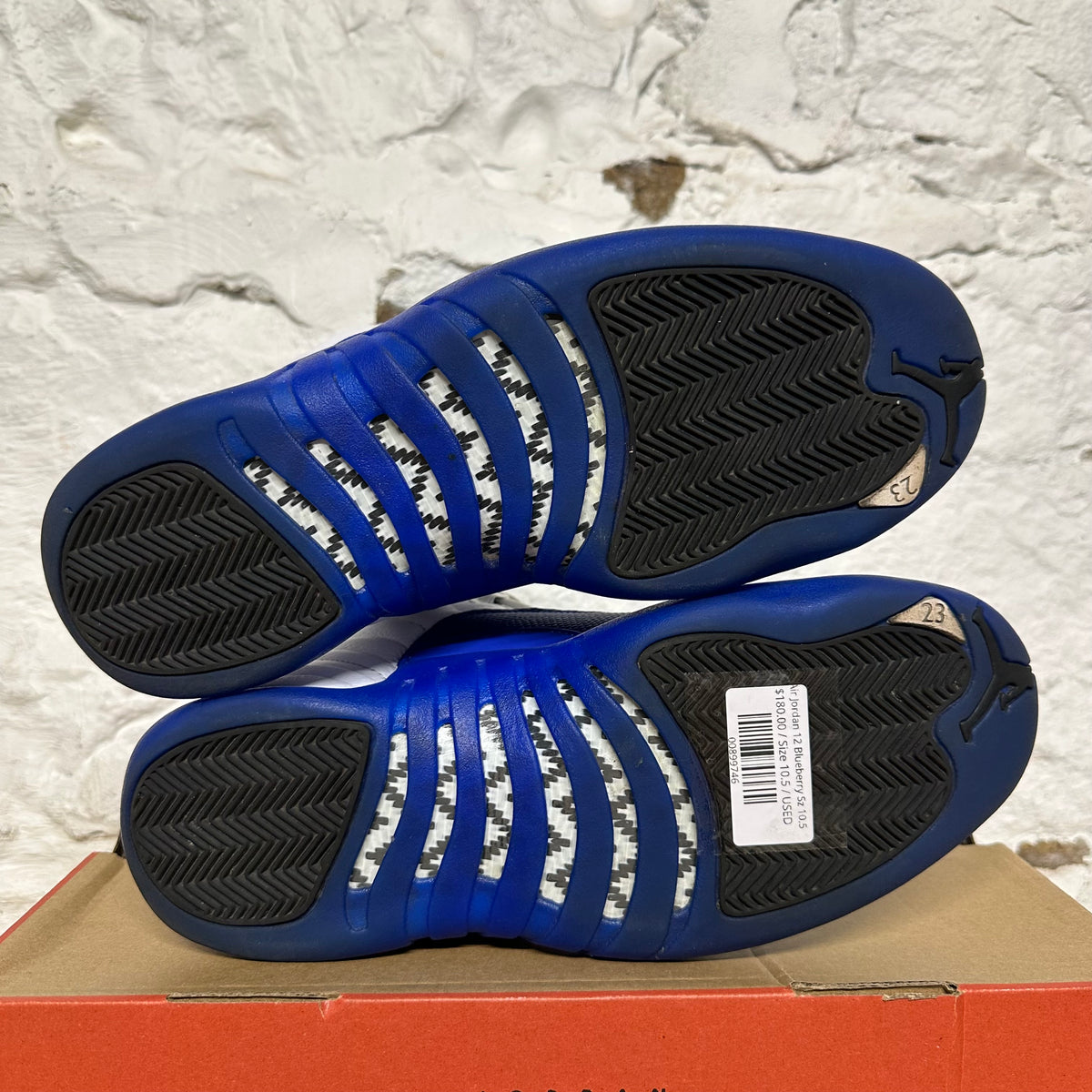 Air Jordan 12 Blueberry Sz 10.5