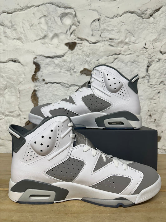 Air Jordan 6 Cool Grey Sz 10.5 DS