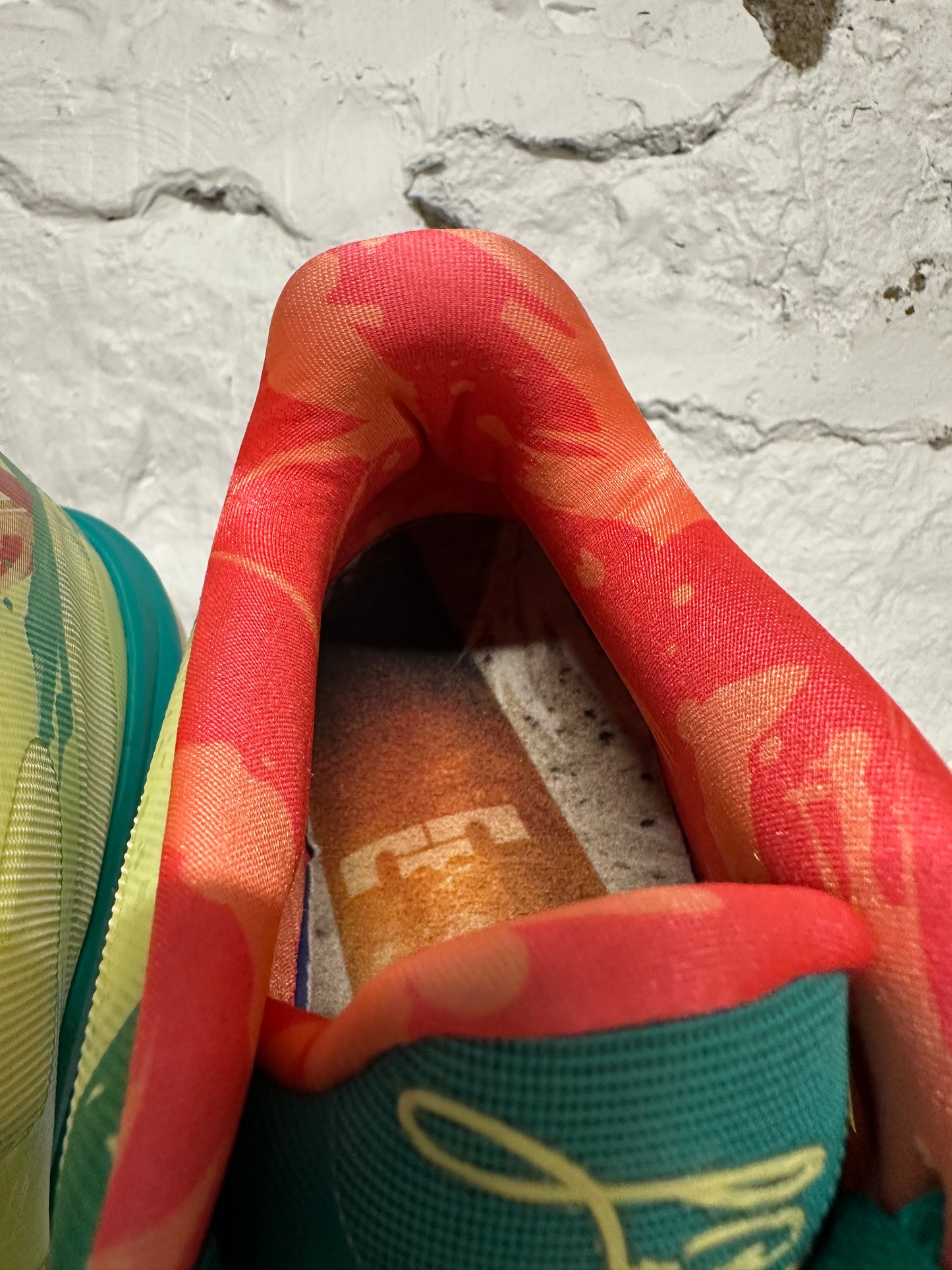 Nike LeBron 9 Low Lebronald Palmer Sz 11