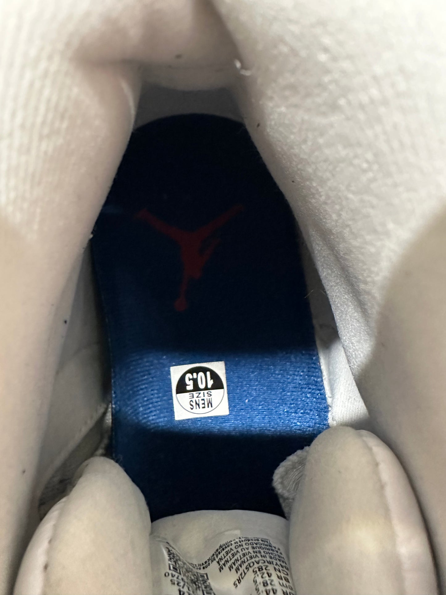 Air Jordan 12 French Blue Sz 10.5