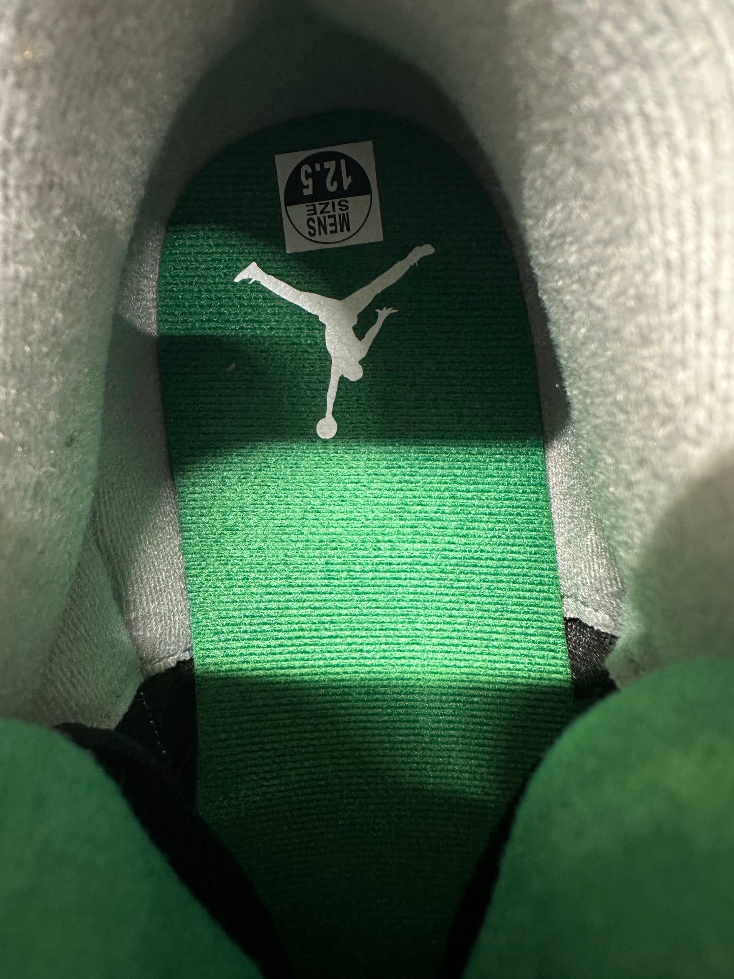 Air Jordan 3 Pine Green Sz 12.5 DS