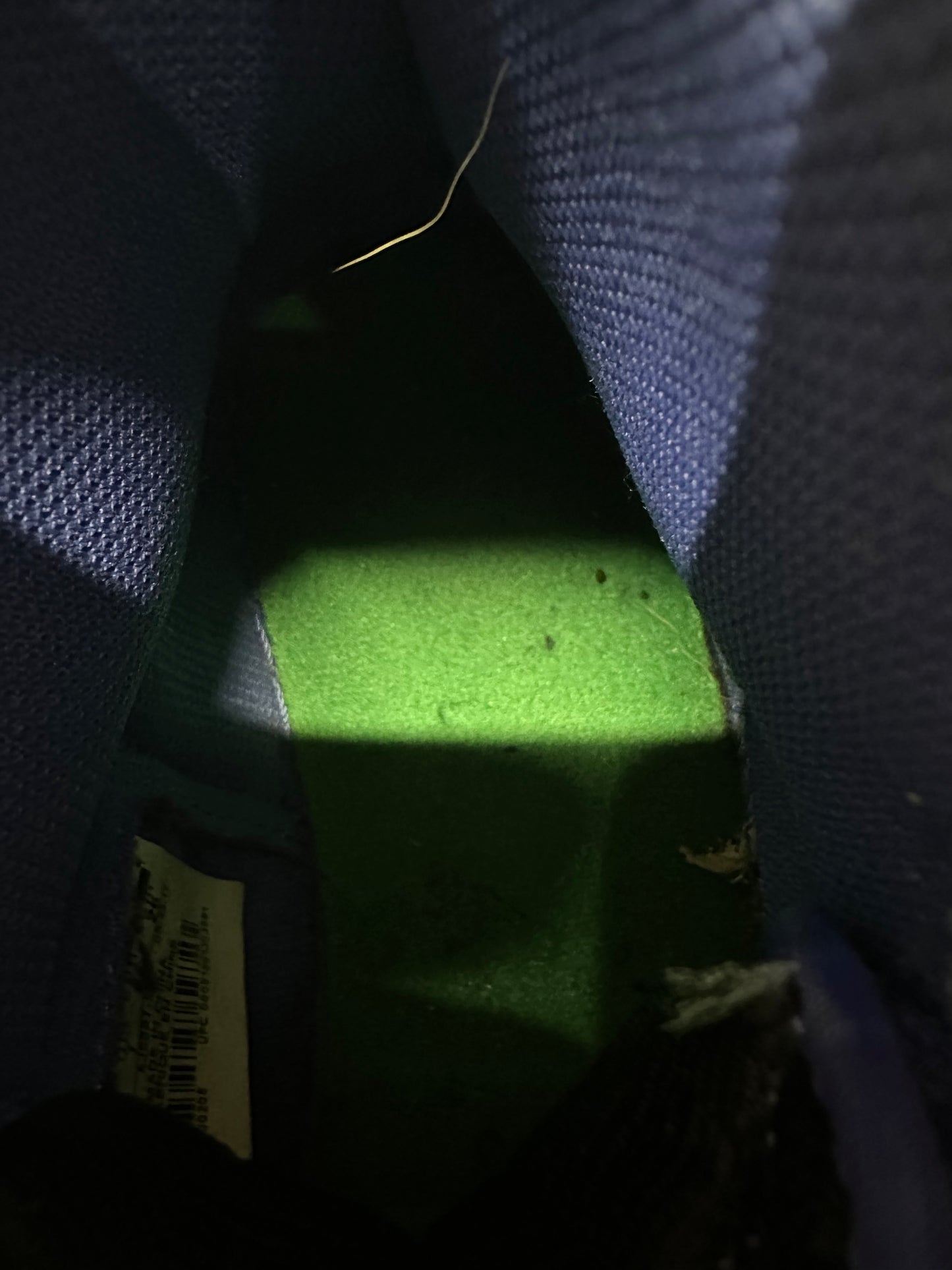 Air Jordan 1 Gatorade Rush Violet Sz 8