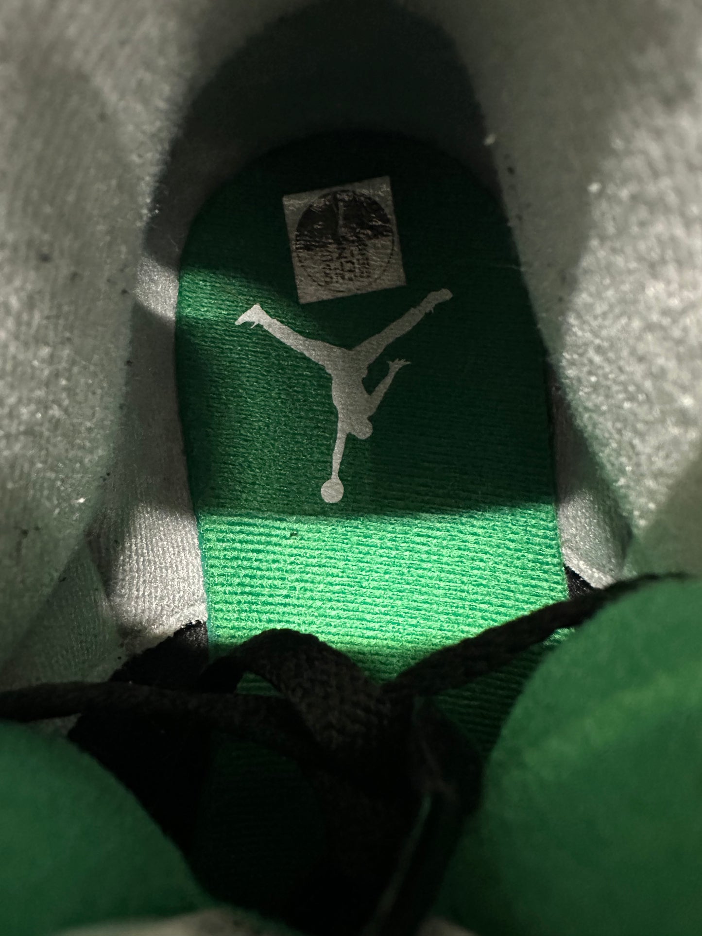 Air Jordan 3 Pine Green Sz 7