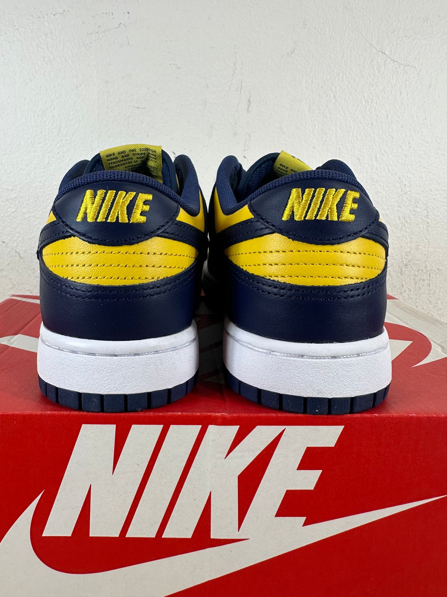 Nike Dunk Low Michigan Sz 9 DS