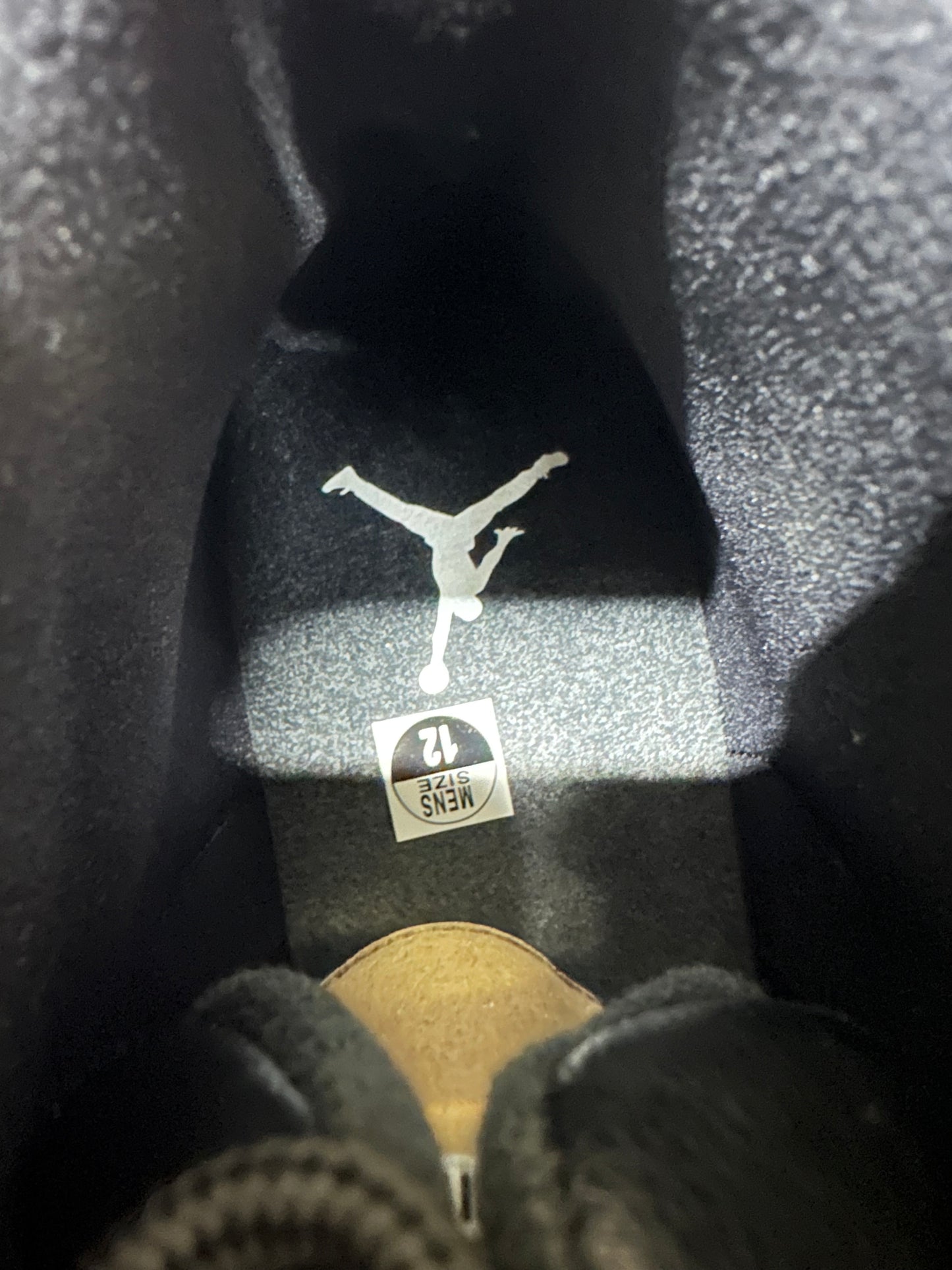 Air Jordan 12 The Master Sz 12 DS