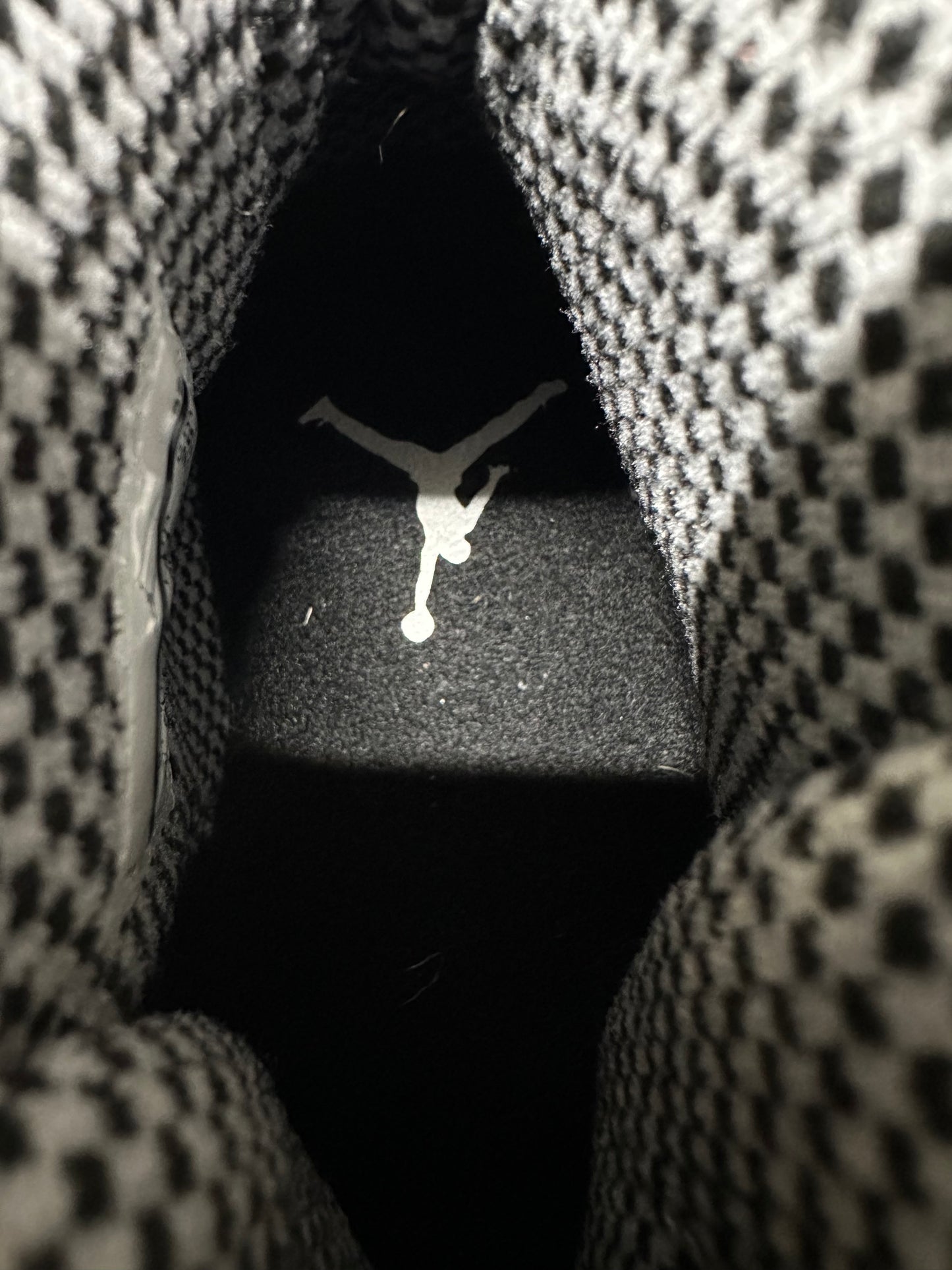 Air Jordan 10 Stealth Sz 8