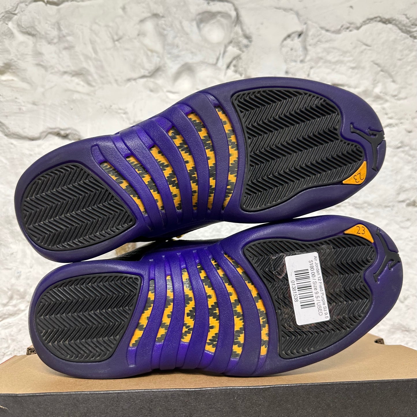 Air Jordan 12 Field Purple Sz 9.5
