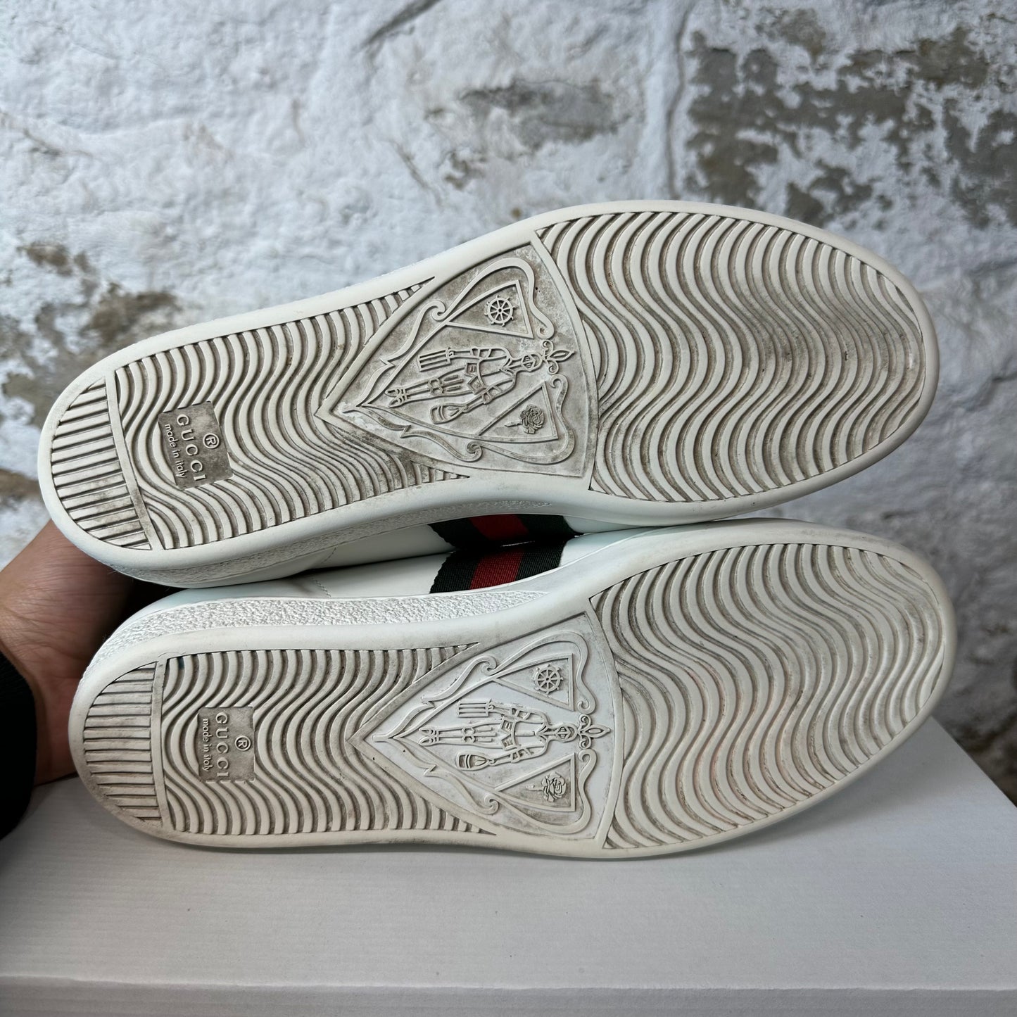 Gucci Ace Pig Cat White Sneaker Sz 8 No Box