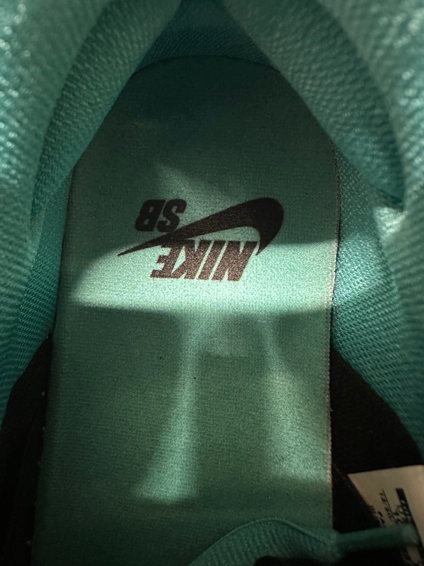 Nike SB Dunk Low Clear Jade Sz 10 DS