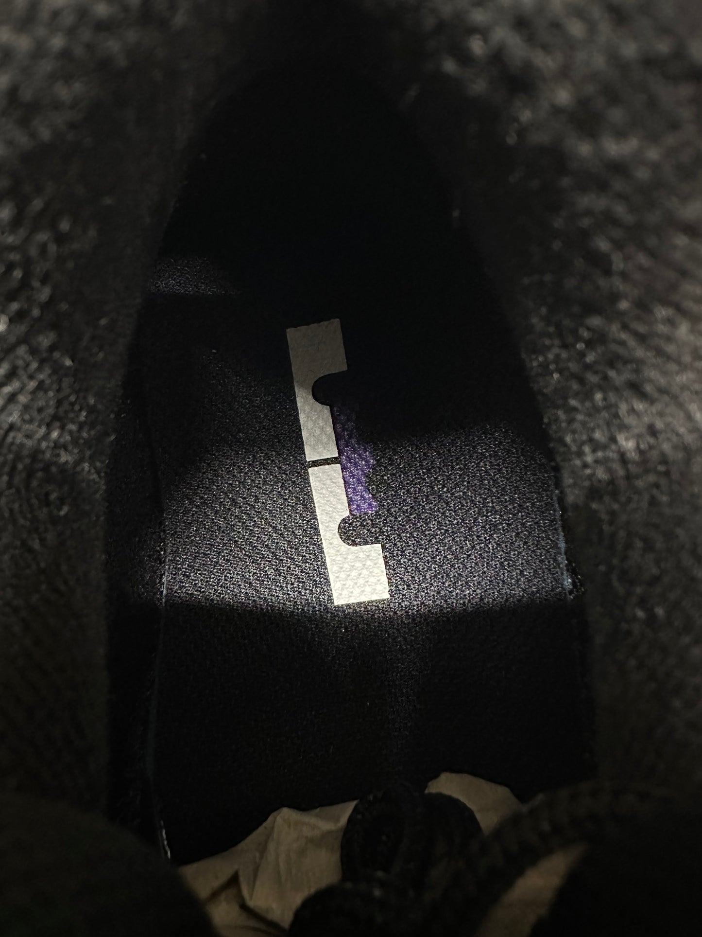 Nike Air Max 95 NRG Lebron Lakers Sz 10 DS