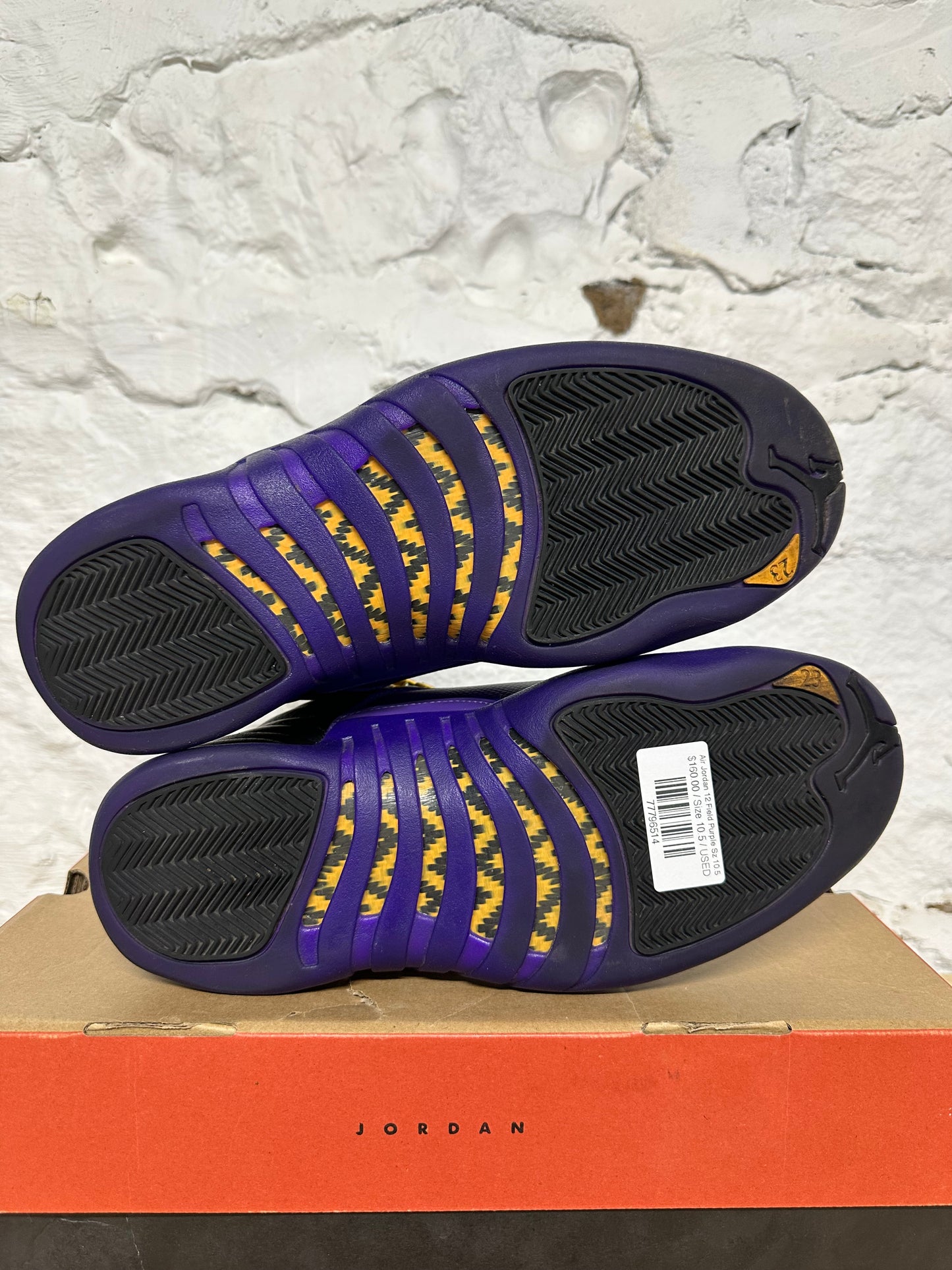 Air Jordan 12 Field Purple Sz 10.5