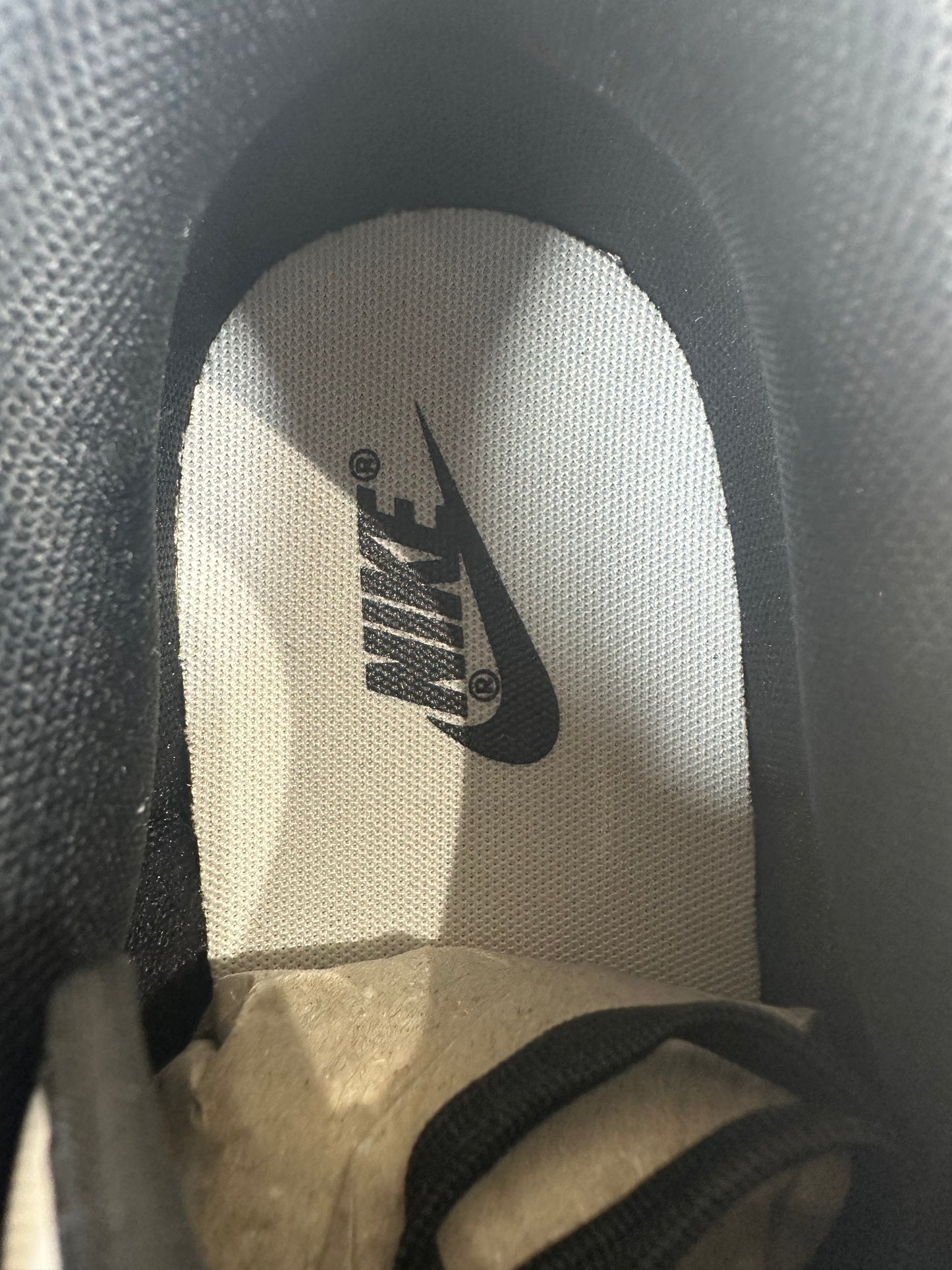 Nike Dunk Low Panda Sz 9 DS