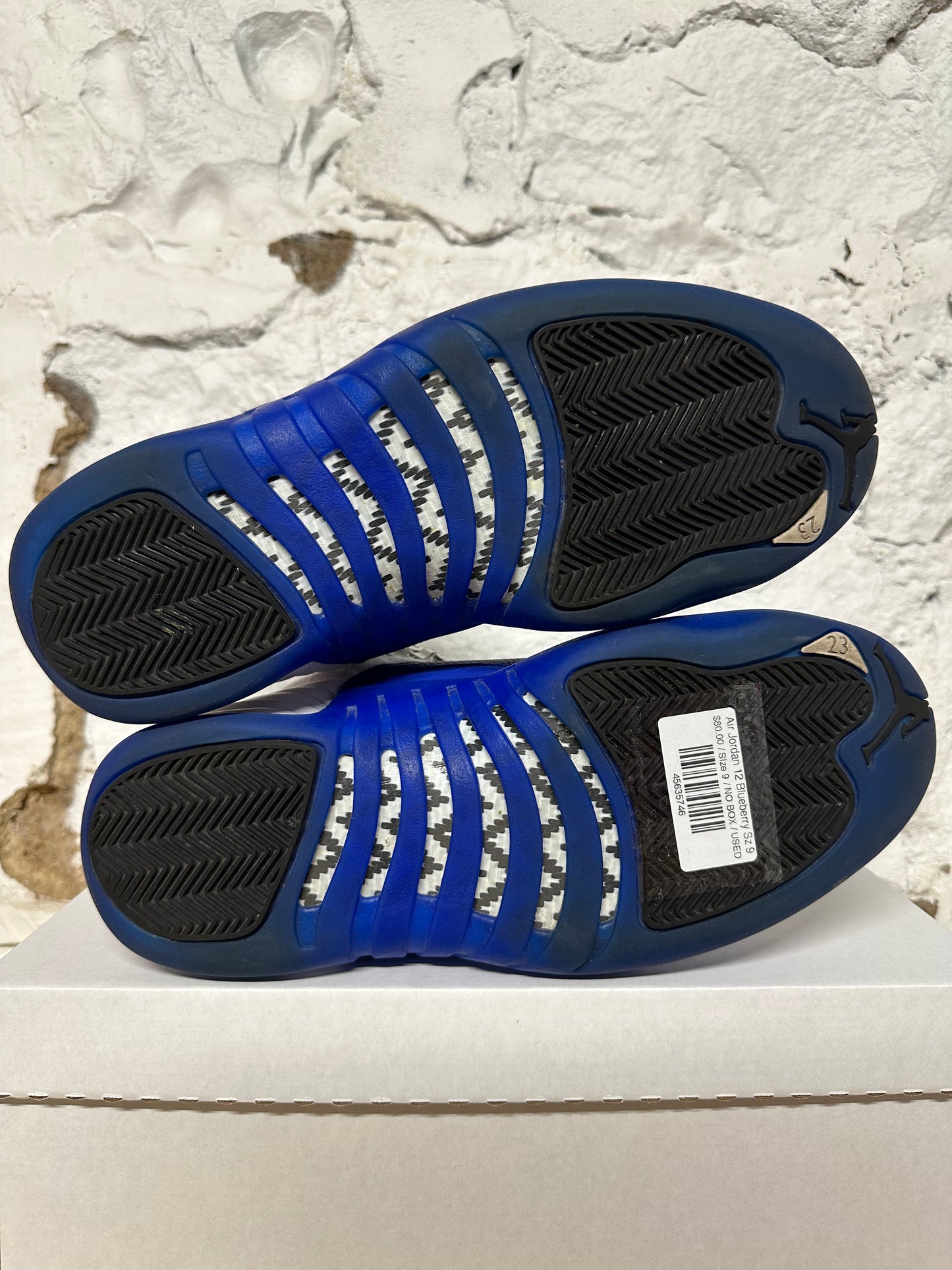 Air Jordan 12 Blueberry Sz 9