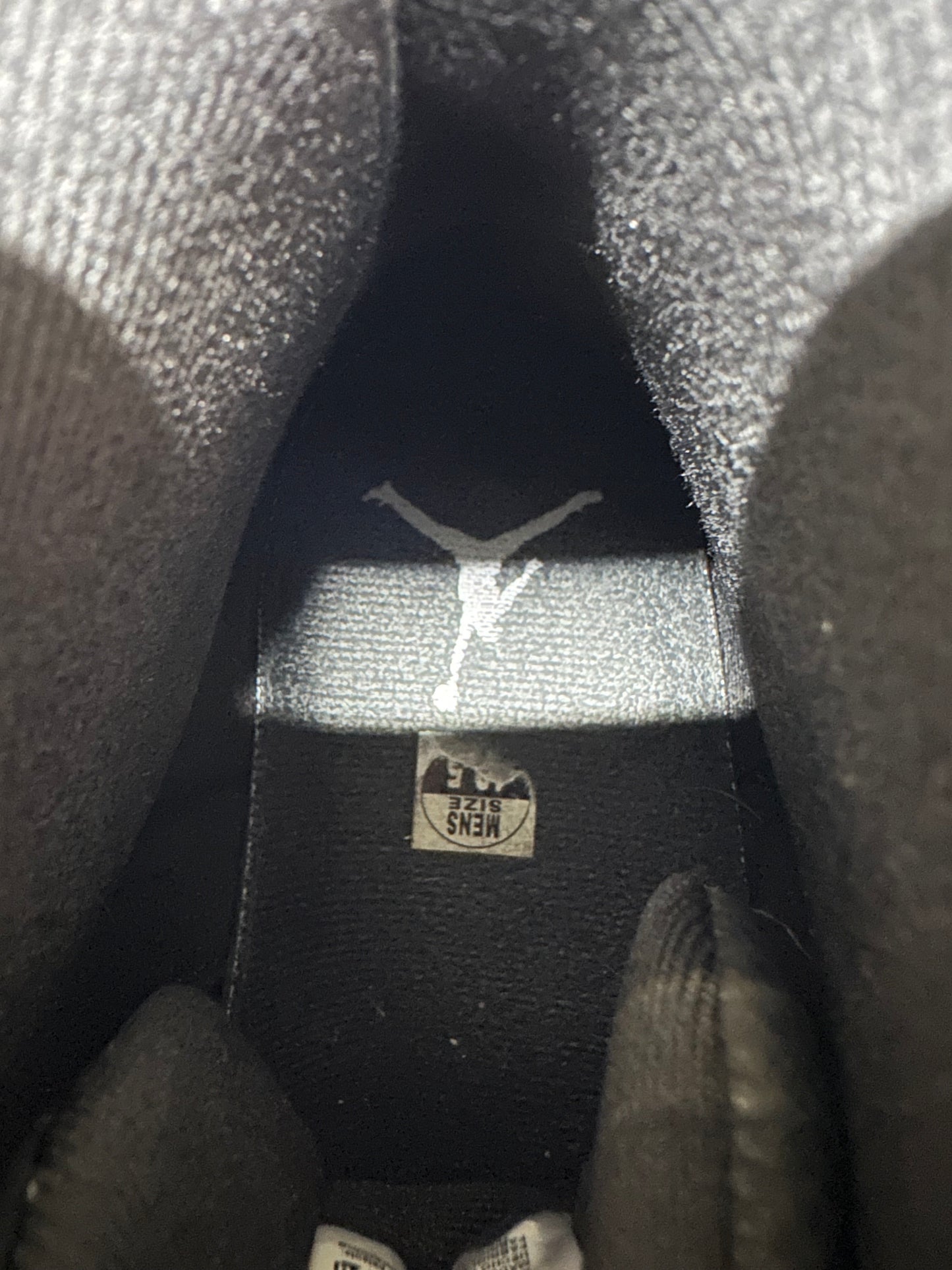 Air Jordan 12 Barons Sz 10.5