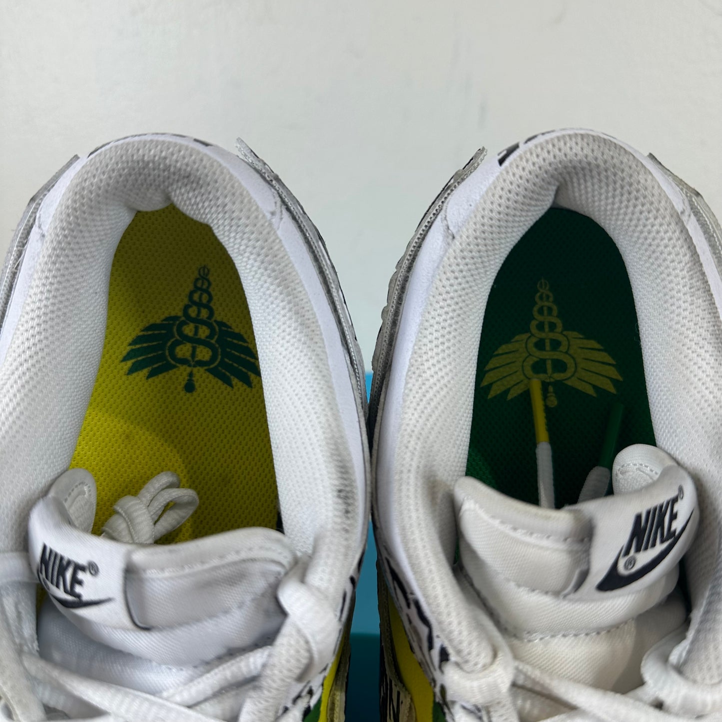 Nike Dunk Low Doernbecher Zoe Sz 9.5