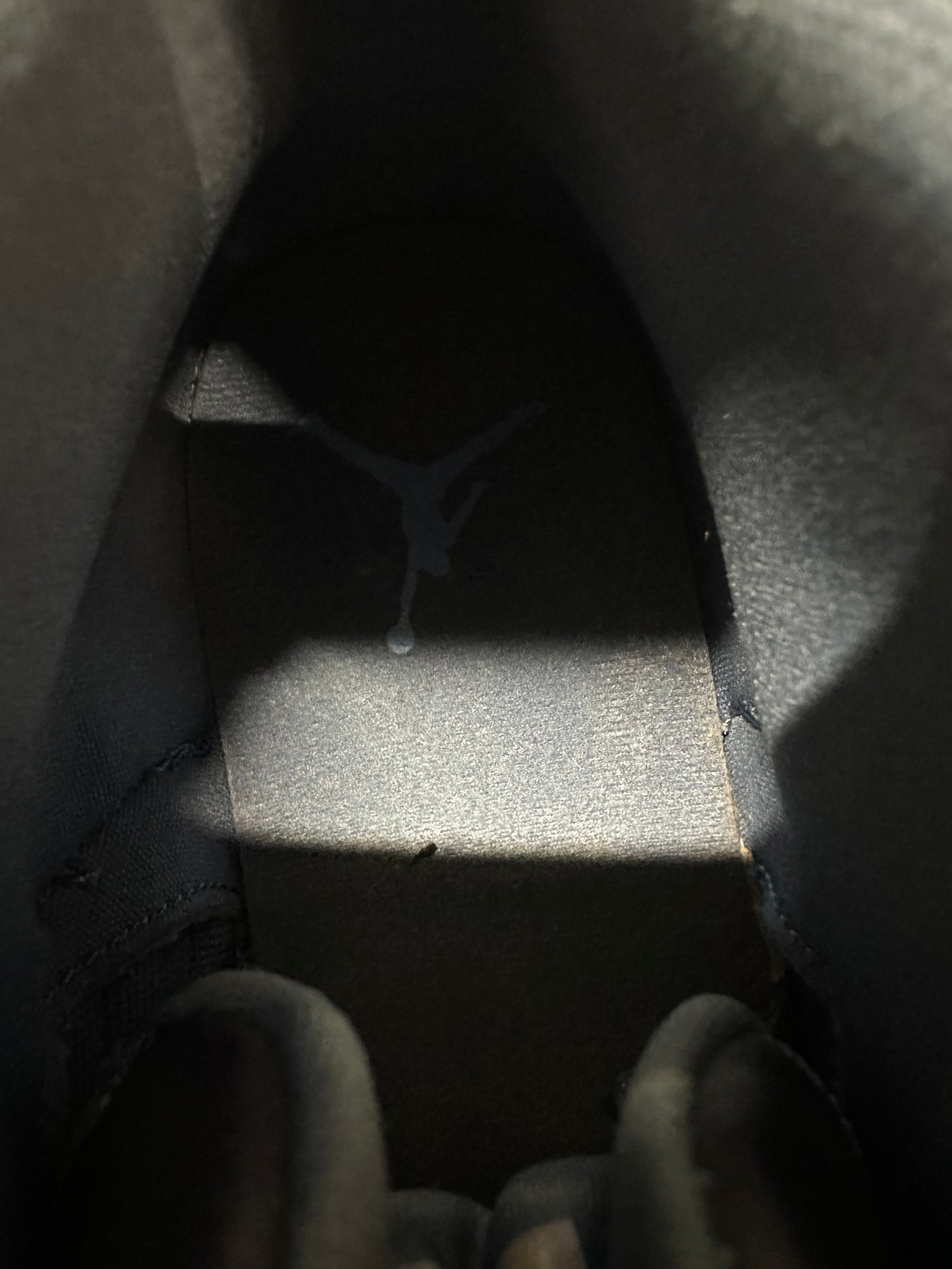 Air Jordan 12 Indigo Sz 10.5