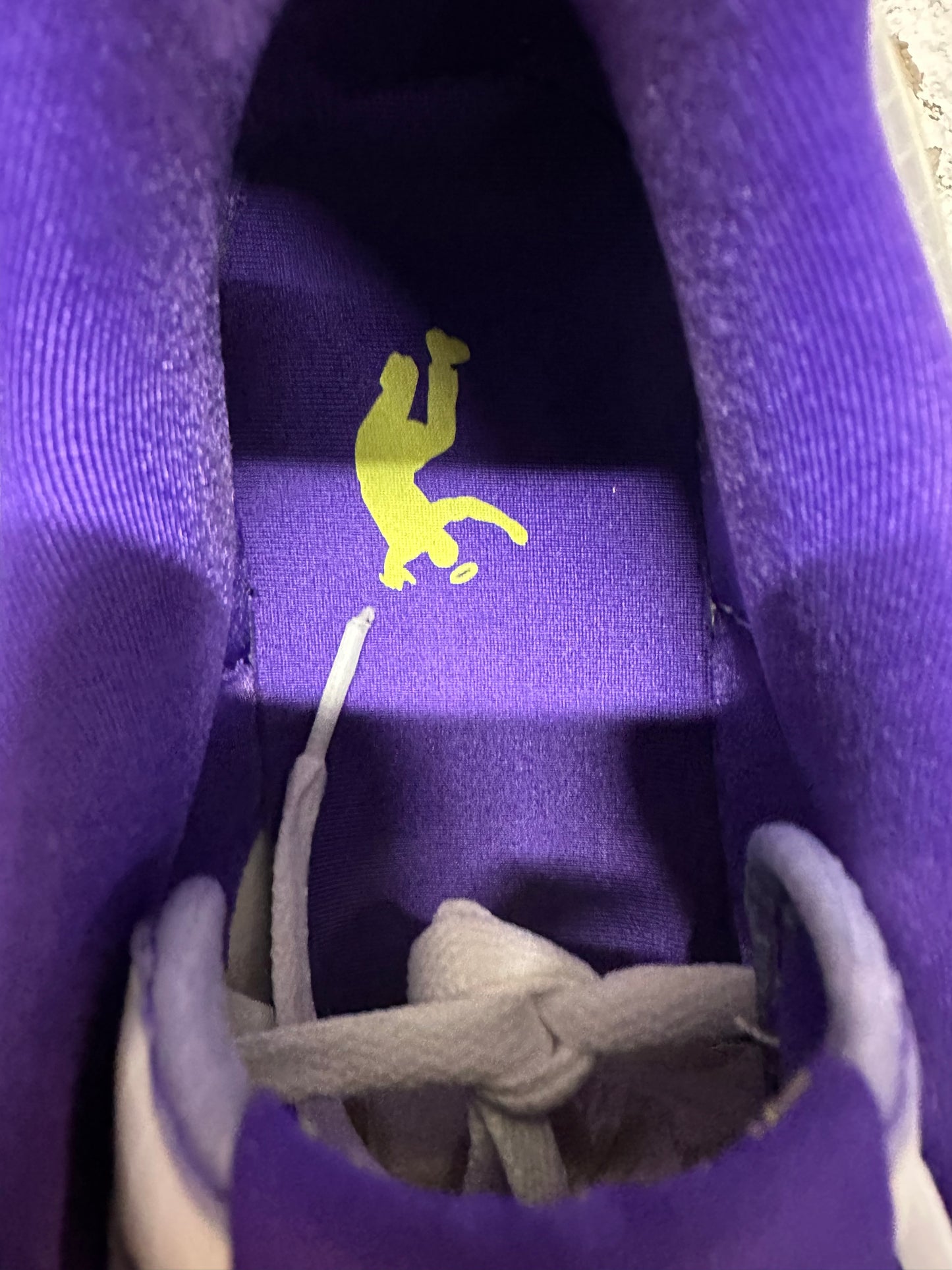 Nike Dunk Low Union Court Purple Sz 9 DS