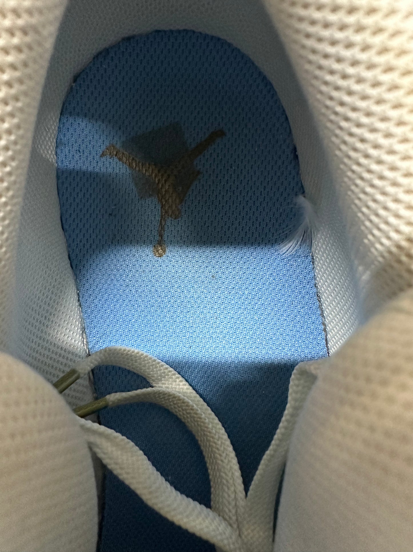 Air Jordan 1 Low Paris Sz 13